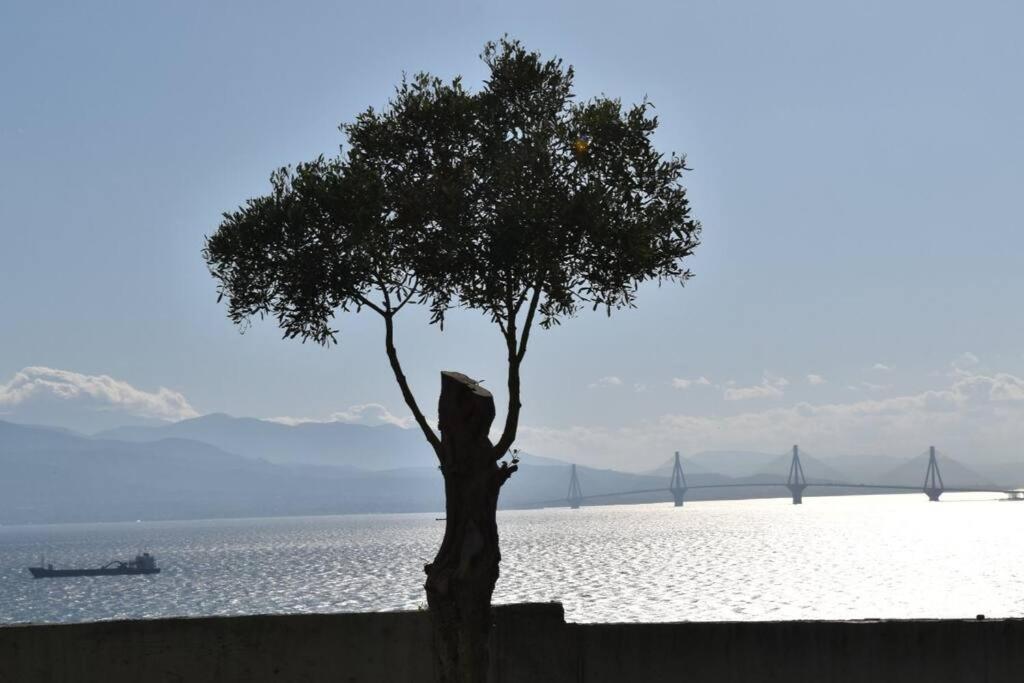 Belle Vue Βίλα Paliopanagia Εξωτερικό φωτογραφία